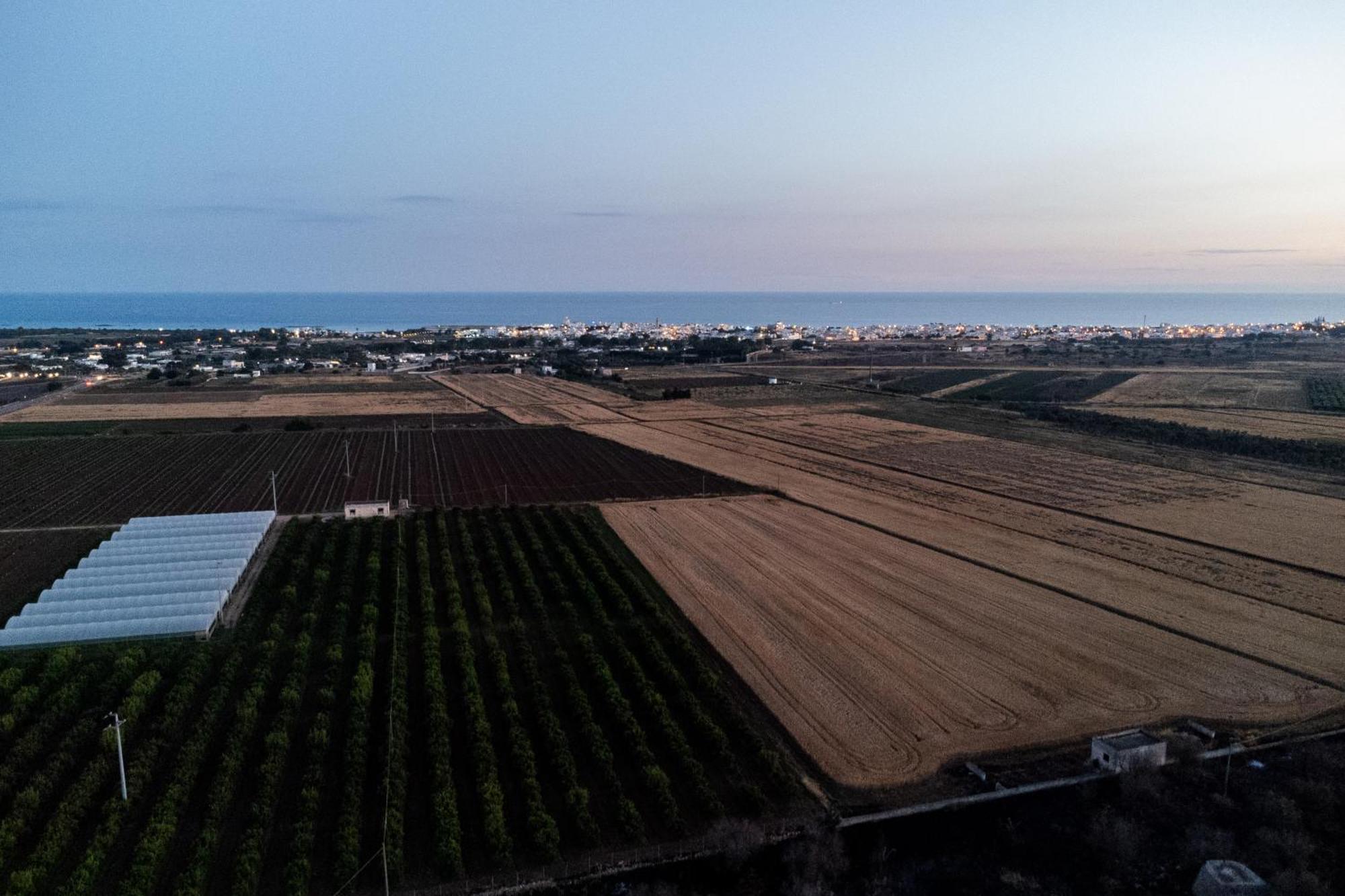 Dimora Soleda Apartment Torre San Giovanni Ugento Bagian luar foto